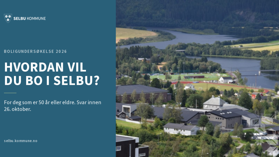 Lenke til artikkel: Hvordan vil du bo i Selbu i årene som kommer?