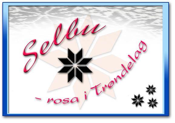 llustrasjon av Selburosa med teksten Selbu – rosa i Trøndelag - Klikk for stort bilde