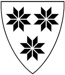 Logo Selbu kommune 3